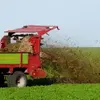 big harvest fertilizers and agri products (pty) ltd
