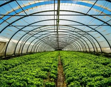 Big Harvest Fertilizers and Agri Products (PTY) LTD